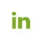 li-icon